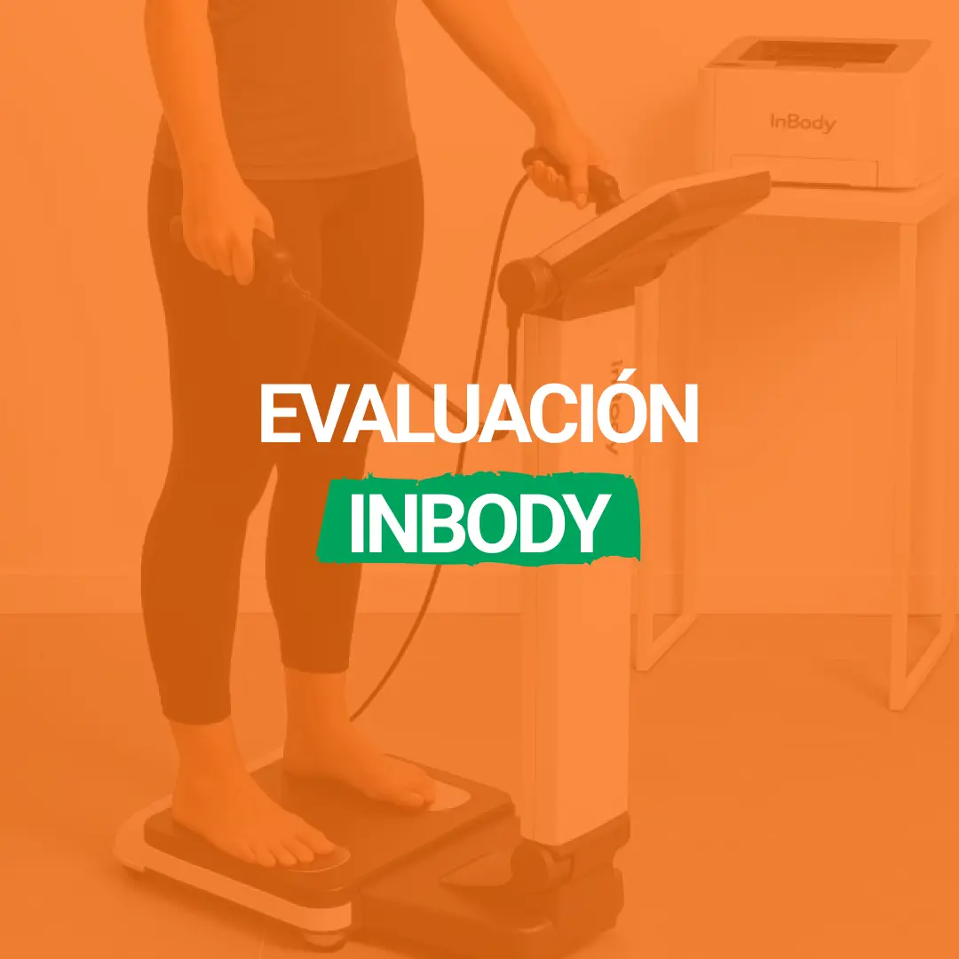 Evaluación de Composición Corporal InBody